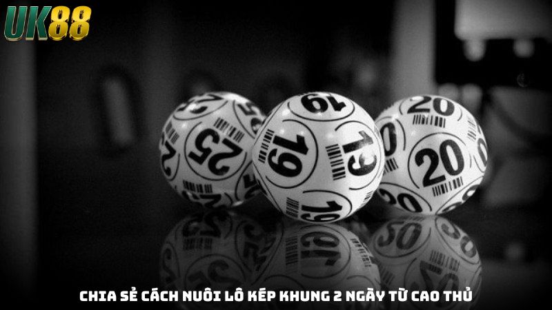Cách Nuôi Lô Kép Khung 2 Ngày - Kinh Nghiệm Từ Cao Thủ - Betlucky88