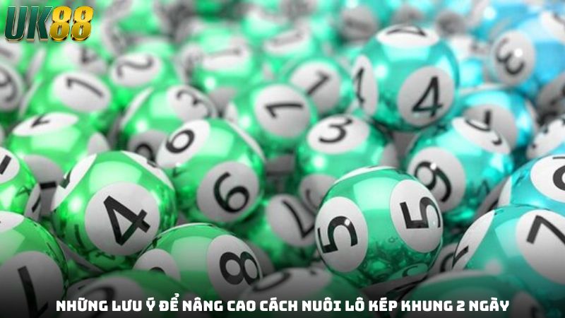 Cách Nuôi Lô Kép Khung 2 Ngày - Kinh Nghiệm Từ Cao Thủ - Betlucky88