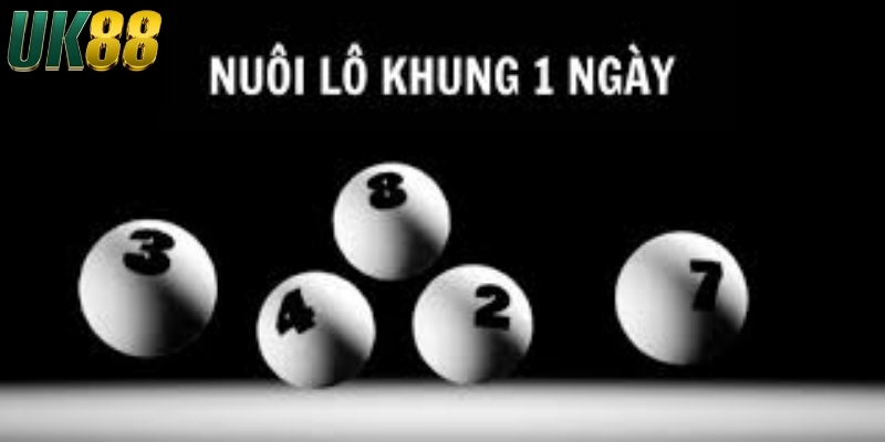 Tổng hợp các cách nuôi lô khung 1 ngày bất bại tại UK88 - Betlucky88