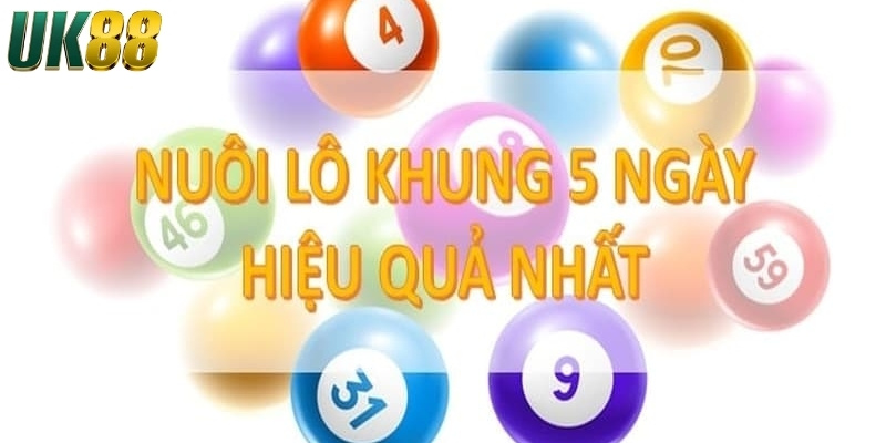 Cách nuôi lô khung 5 ngày chuẩn xác và hiệu quả nhất - Betlucky88