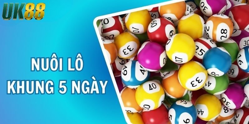 Cách nuôi lô khung 5 ngày chuẩn xác và hiệu quả nhất - Betlucky88