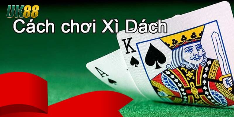 Luật Chơi Xì Dách - Khái Niệm Cơ Bản Và Chiến Thuật Đánh - Betlucky88