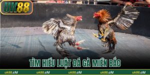UK88 🎖️ Đăng Ký UK88.COM | Cơ Hội +124K Ngay Hôm Nay - Betlucky88